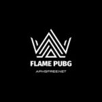 Flame Gaming PUBG Injector