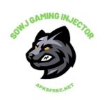 SOWJ Gaming Injector