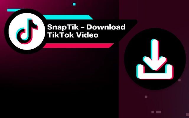 SnapTik APK